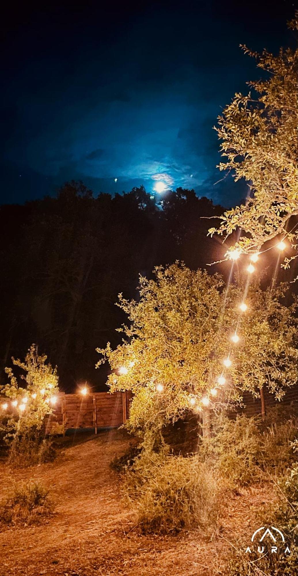 Aura - Glamping Experience Hotell Accettura Exteriör bild