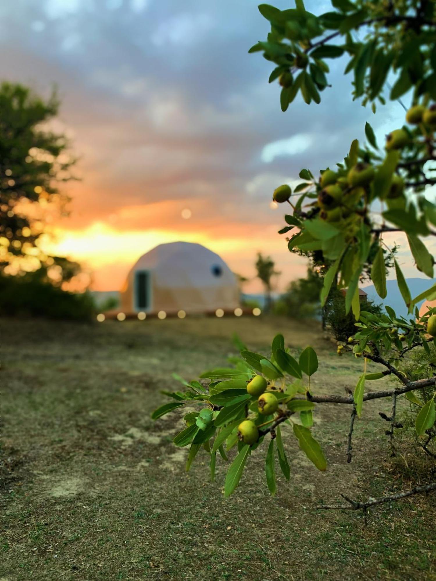 Aura - Glamping Experience Hotell Accettura Exteriör bild