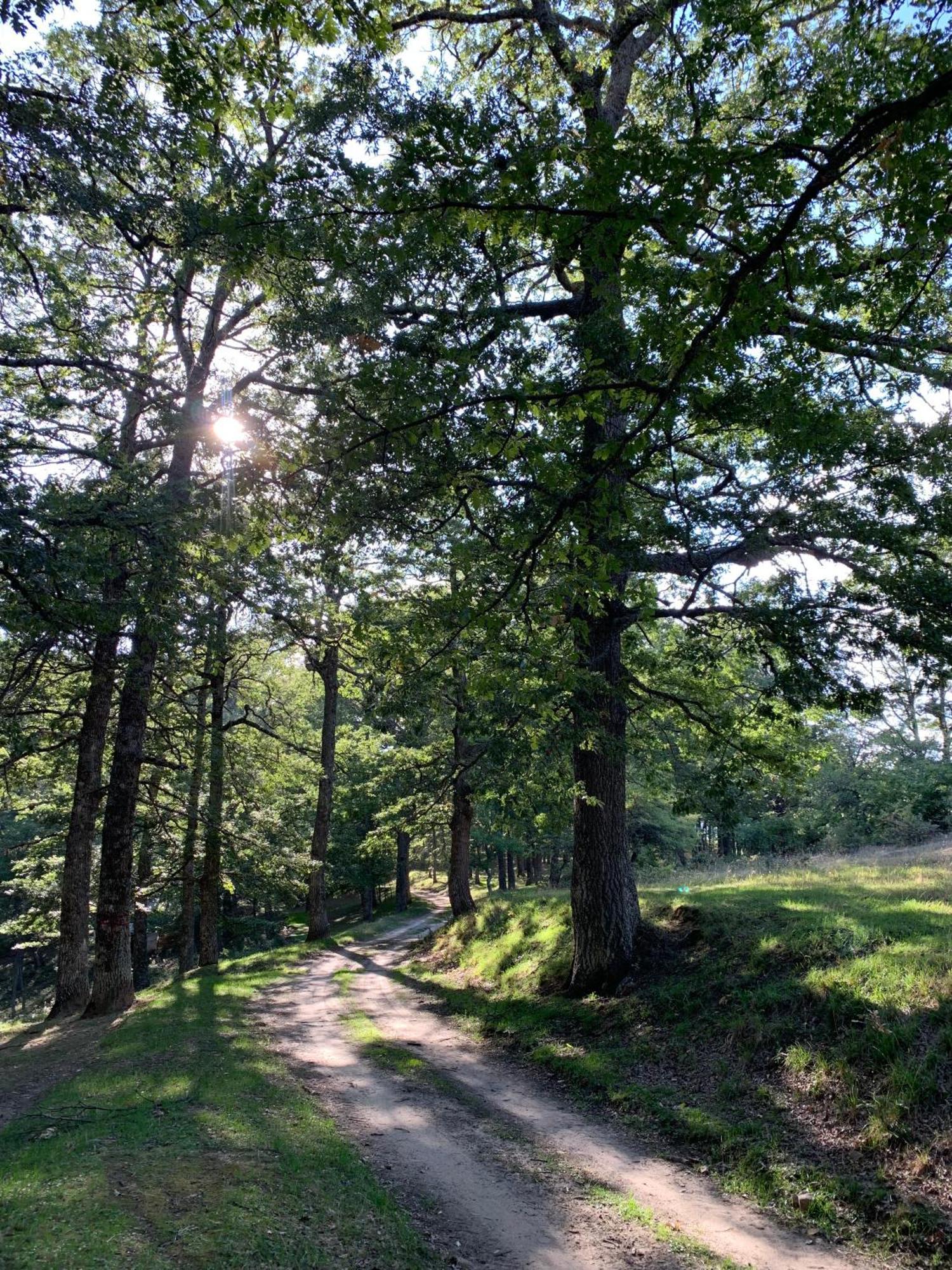 Aura - Glamping Experience Hotell Accettura Exteriör bild